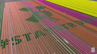 Best wishes for 2021