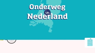 Verplaatsingen in Nederland