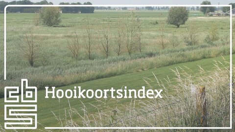Hooikoortsindex