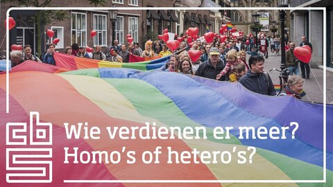 Inkomens homo en heterostellen