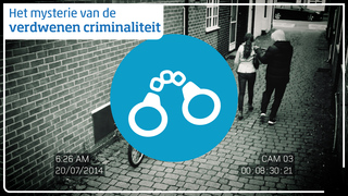 Het mysterie van de verdwenen criminaliteit